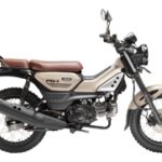 24PG-1-CasualBeige 24PG-1-CasualBeige