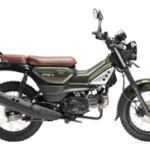 24PG-1-ForestGreen 24PG-1-ForestGreen